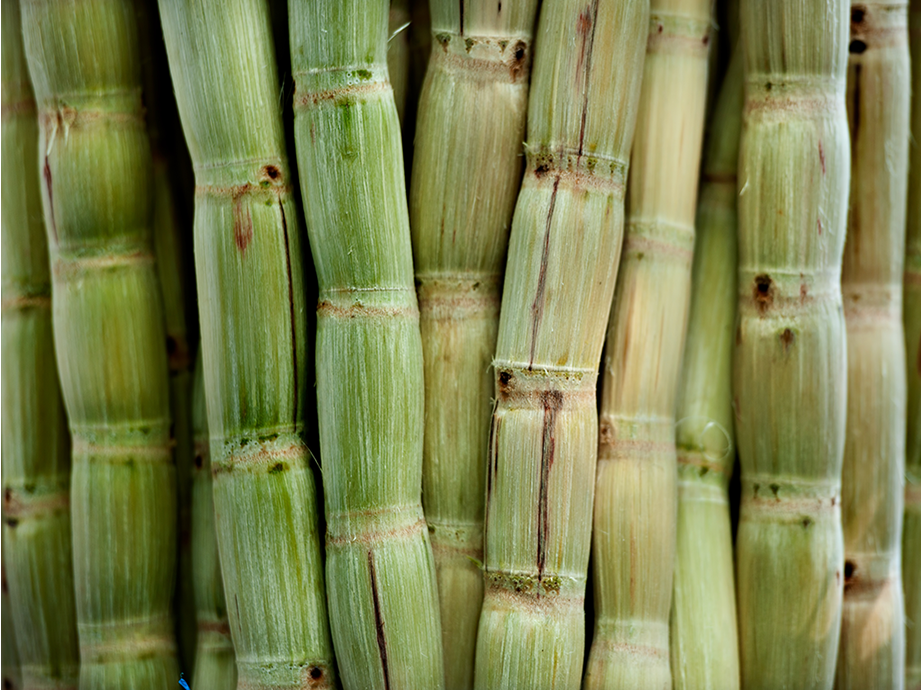 organic-cane-sugar-ek-foods