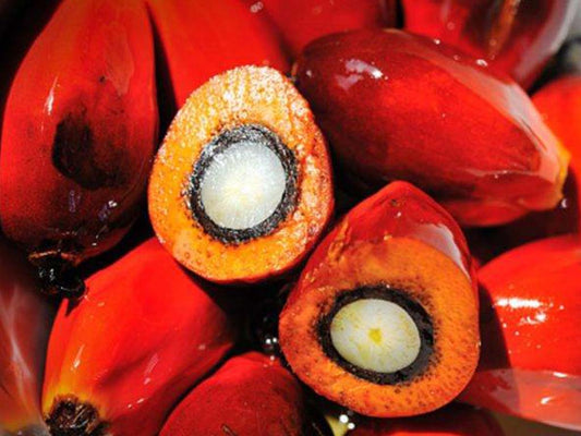 Organic RBD Palm Oil