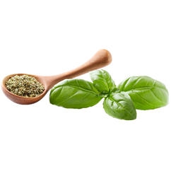Basil