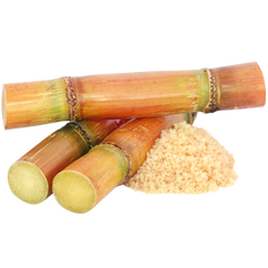 Organic Cane Sugar