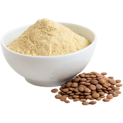 Lentil Flour