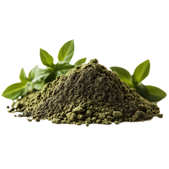 Oregano