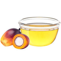 Organic Palm Oil
