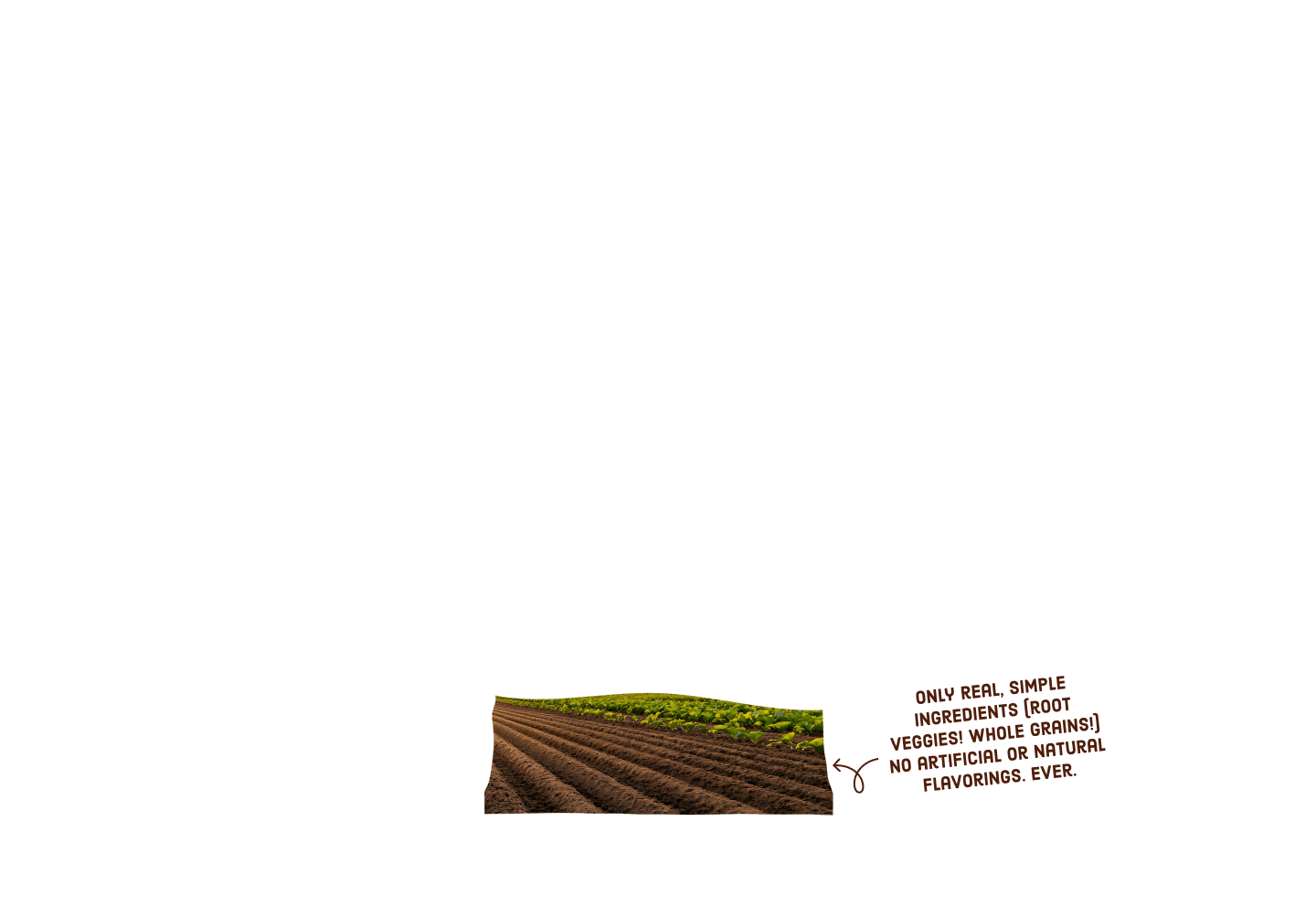 Product Layer Image