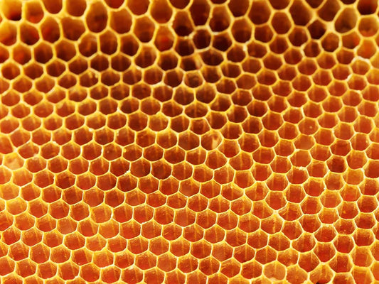 Organic Honey