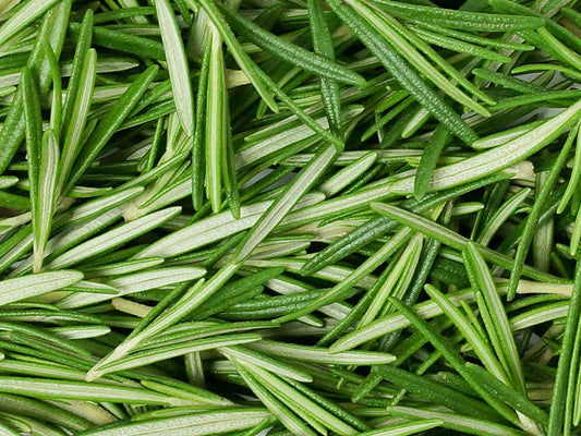 Organic Rosemary